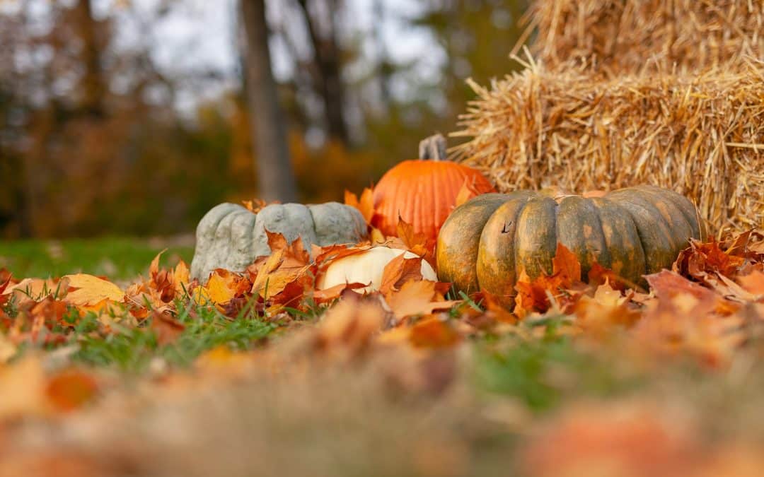 How To Decorate For Labor Day And The End Of Summer