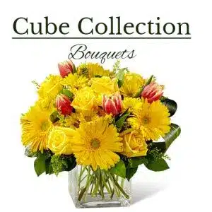 Cube Collection