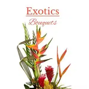 Exotics
