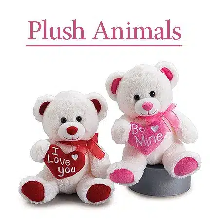 Valentine's Plush