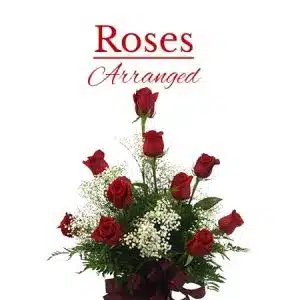 Roses