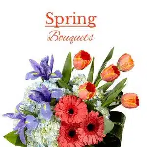 Spring