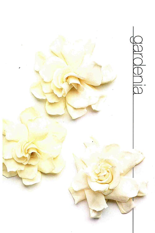 Gardenia