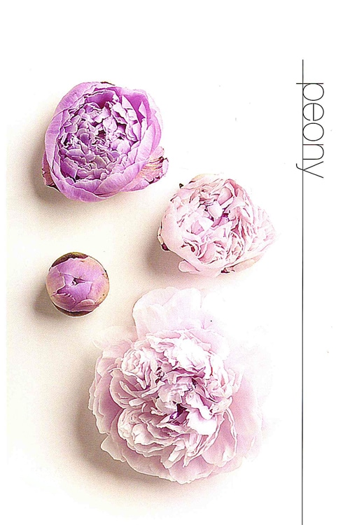 Peony