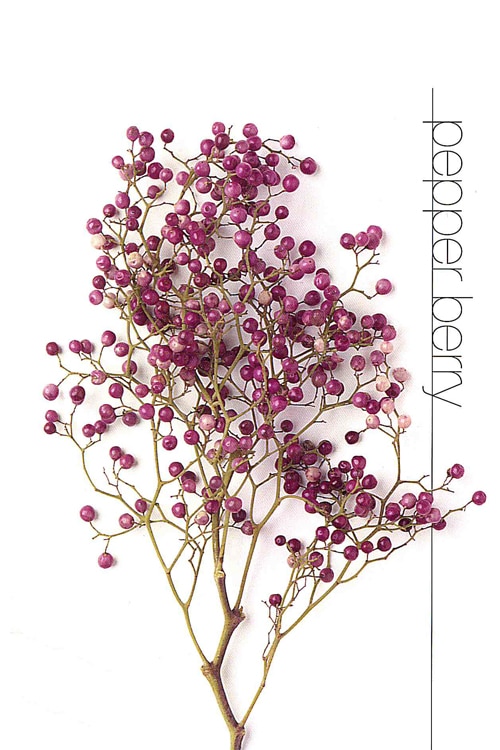 Pepper Berry