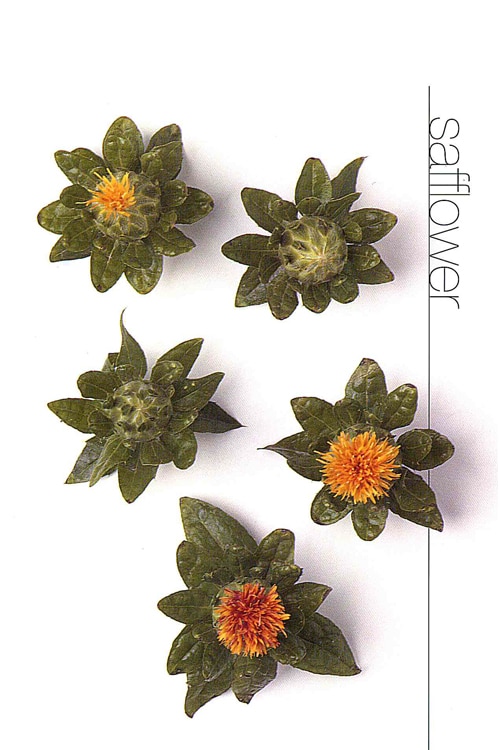 Safflower
