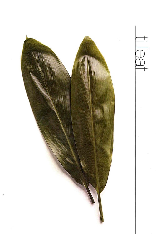 Ti Leaf