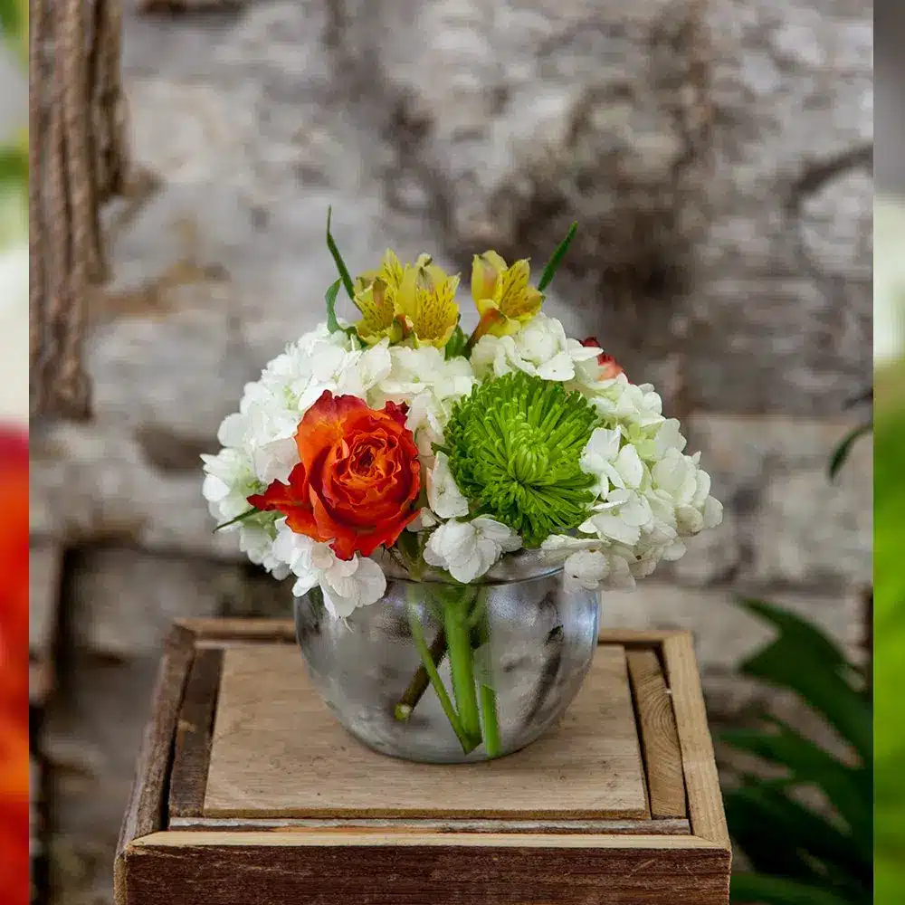 Mixed Bubble Bowl Bouquet