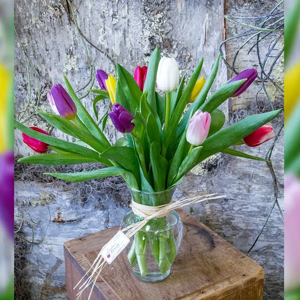 Dozen Assorted Tulips Bouquet