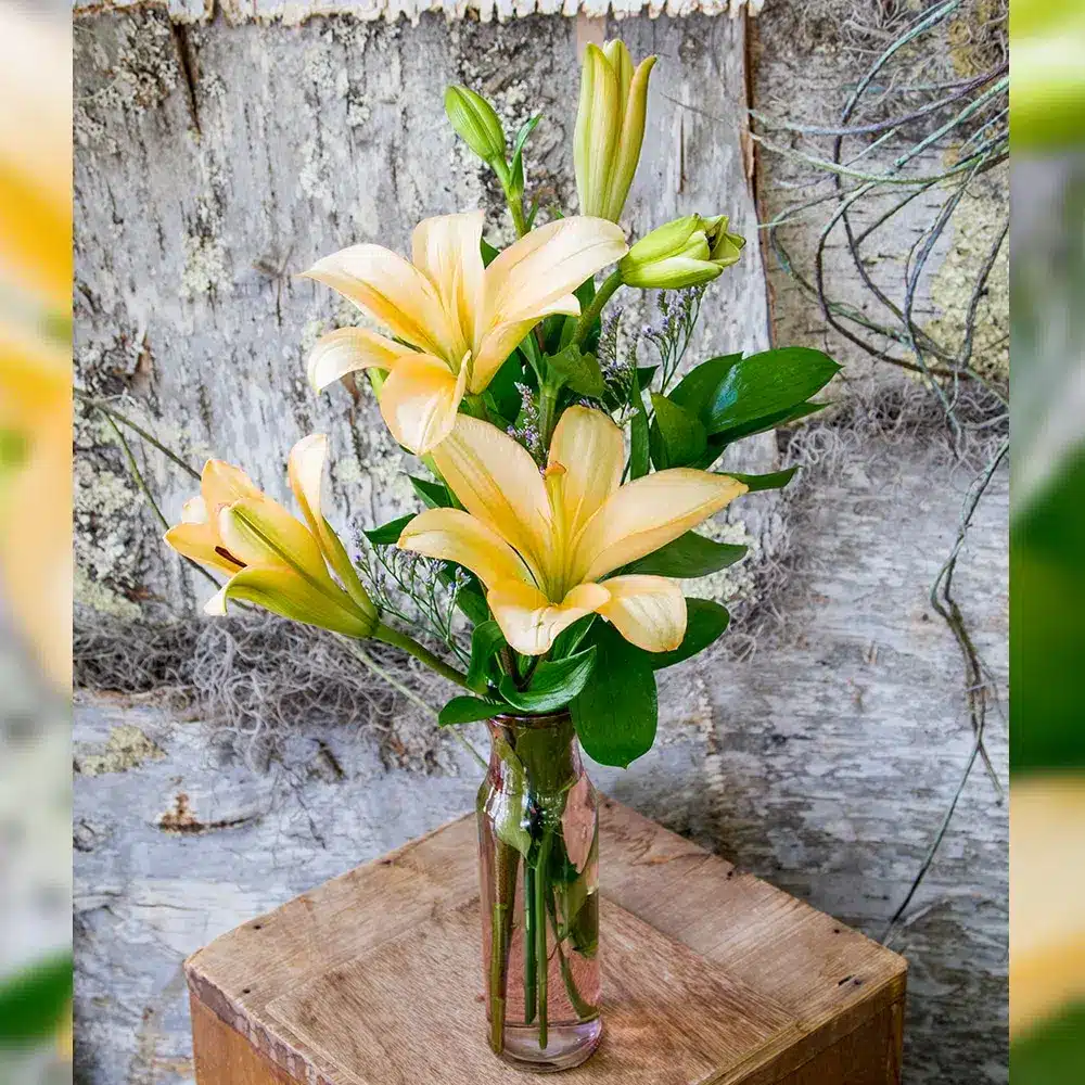Splendid Day Bouquet
