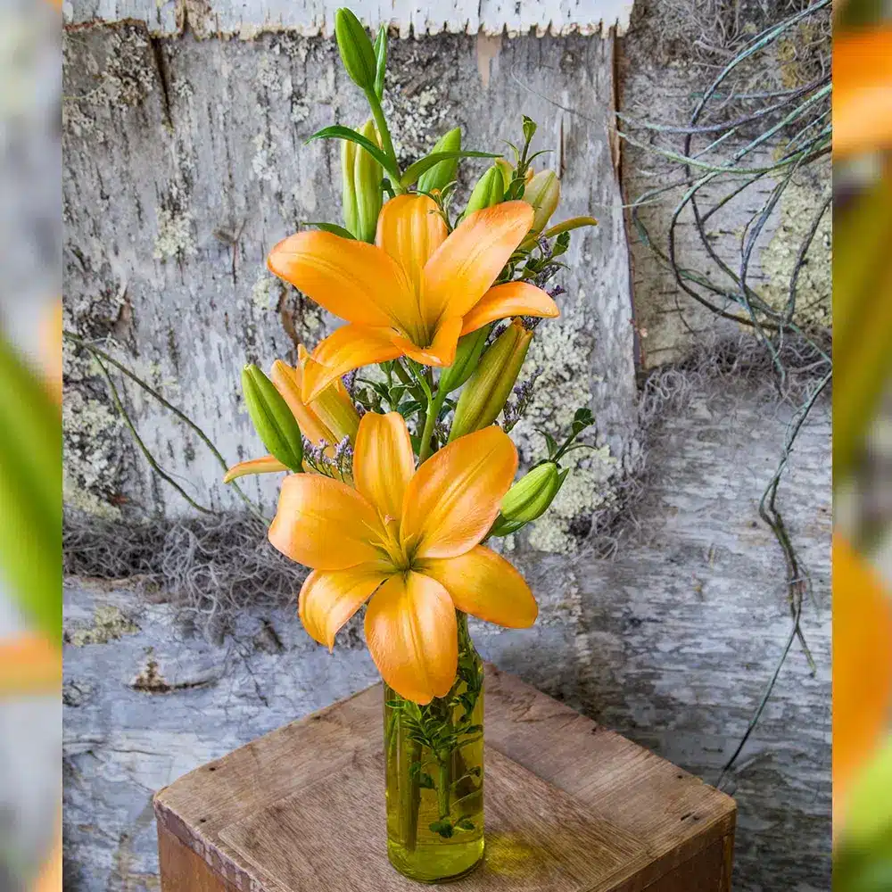 Brighten Their Day Bouquet