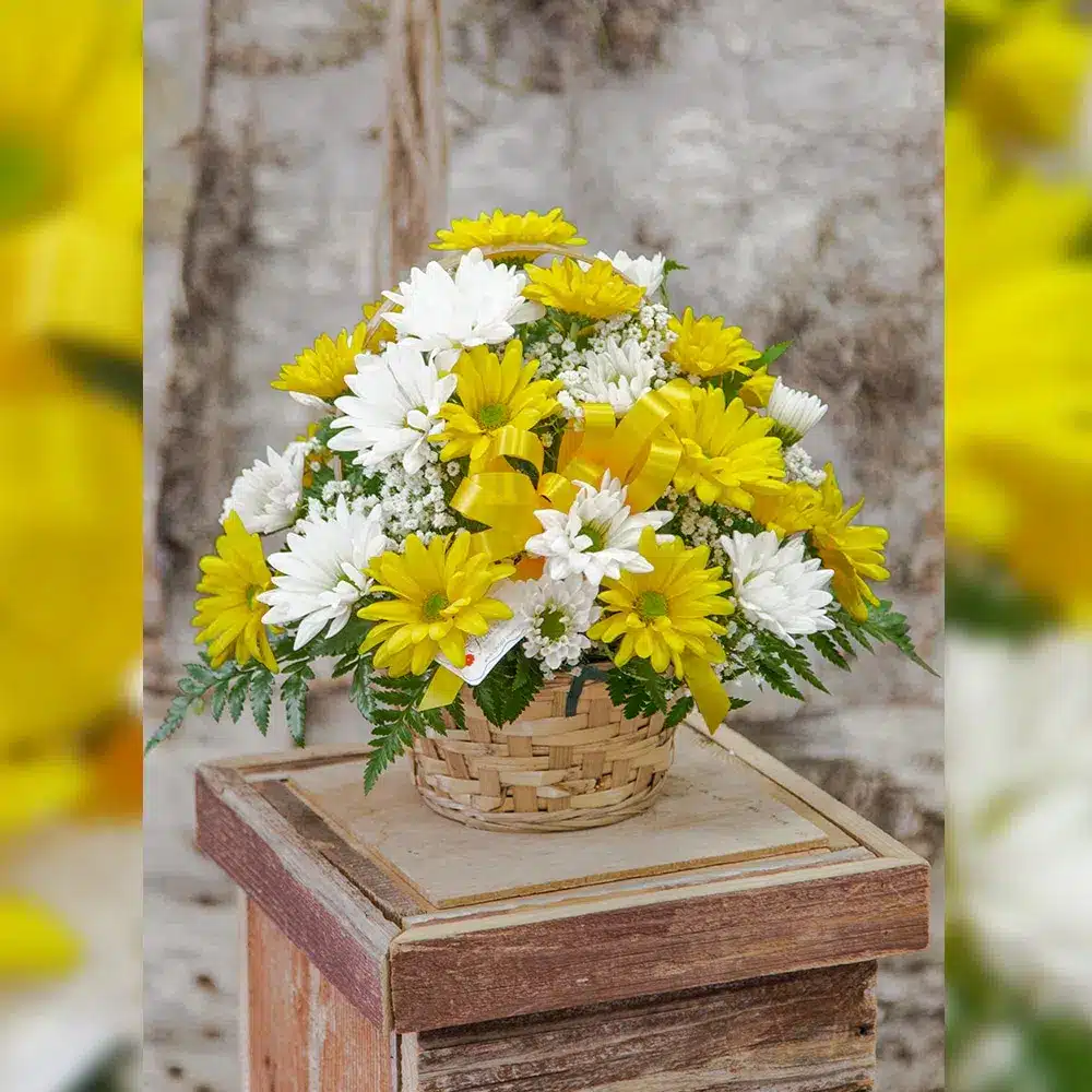 Daisy Power Basket
