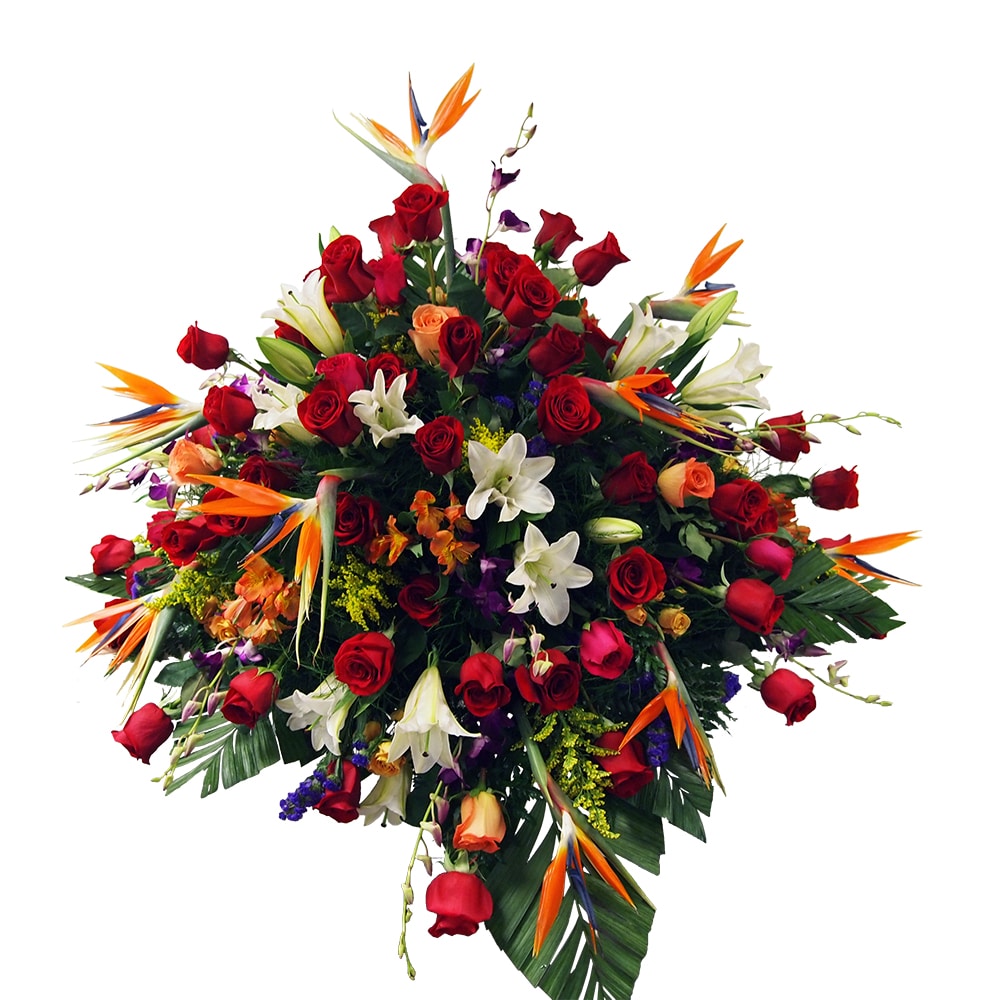 Exotic Solace Casket Piece