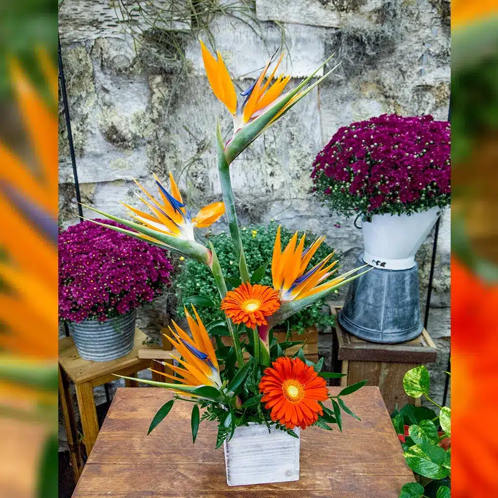Treasure Box Bouquet