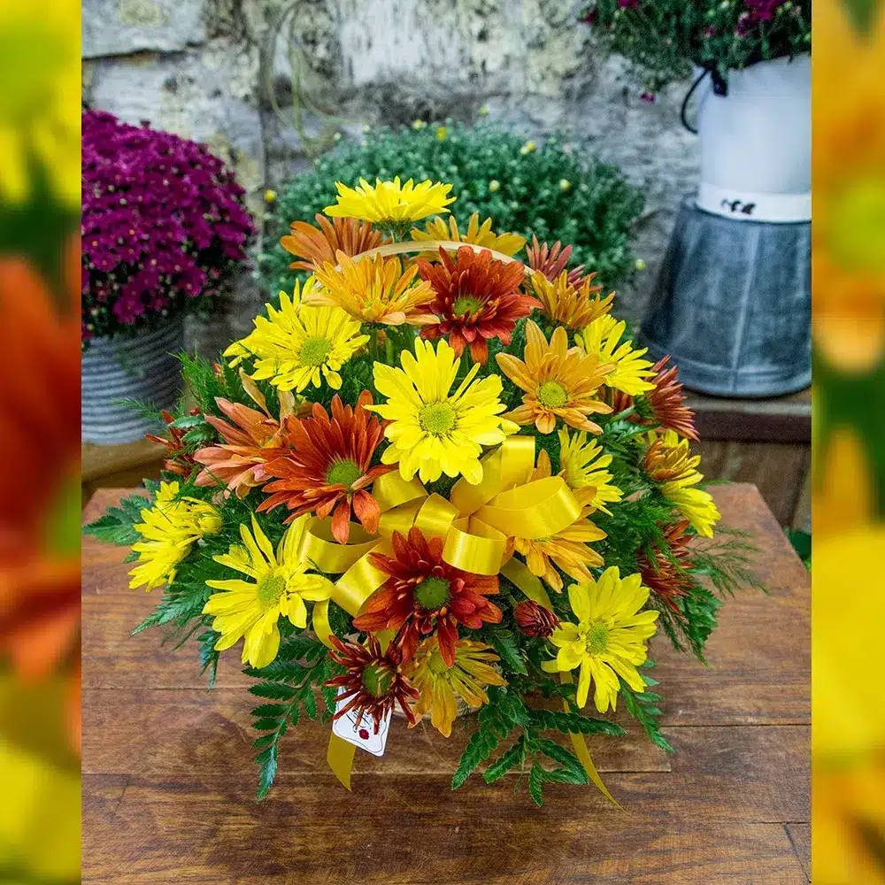 Fall Daisy Basket