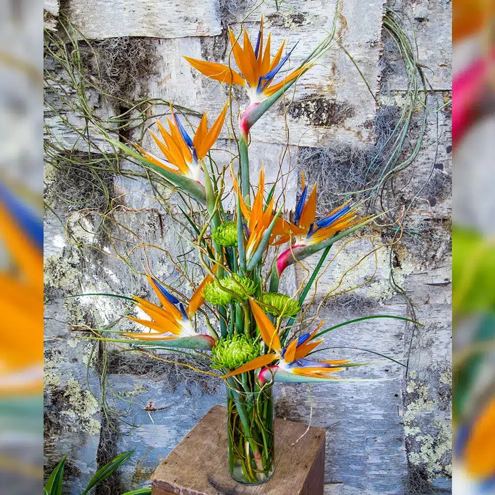 Floral Fantasy Bouquet