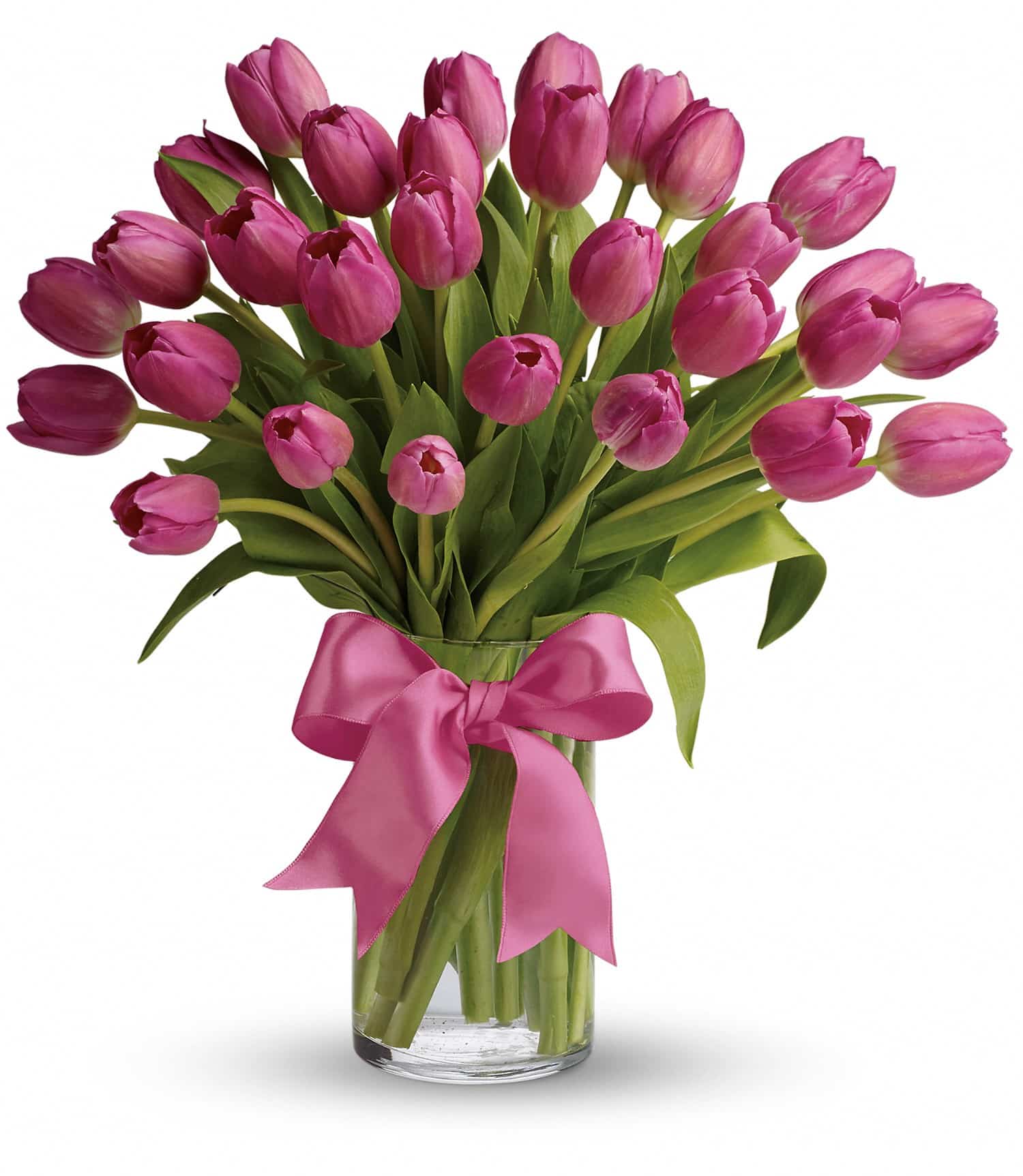 Precious Pink Tulips