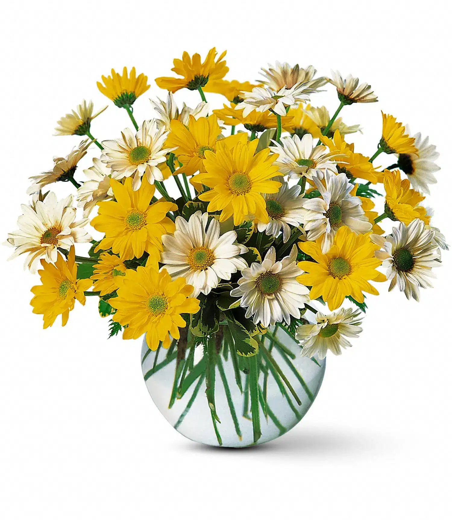 Dashing Daisies Bouquet
