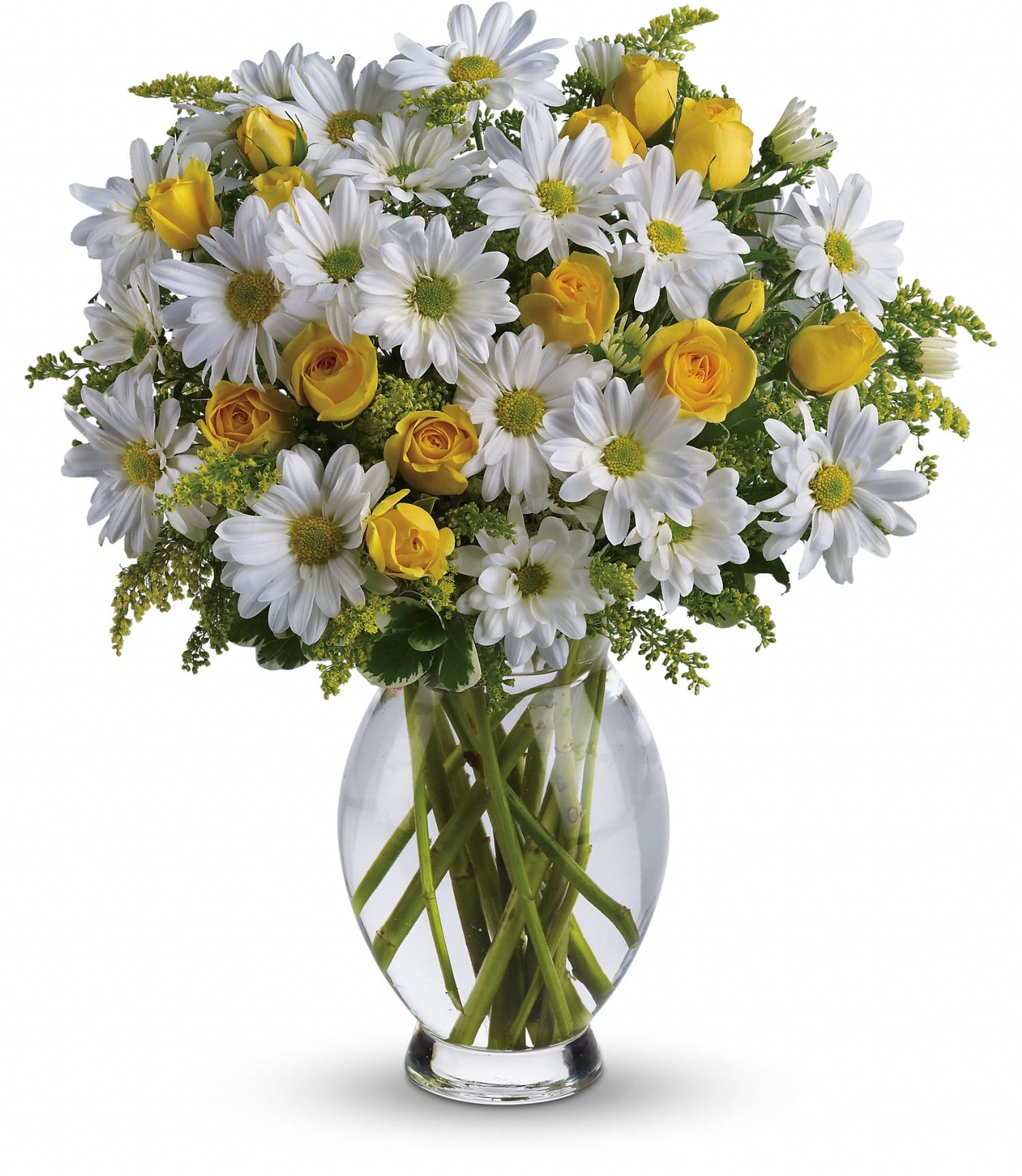 Amazing Daisy Bouquet