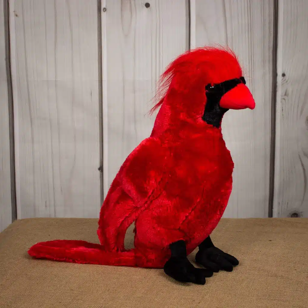 Large Red Cardinal