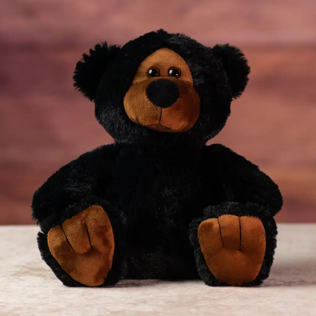 Wild Black Bear