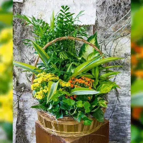 Blooming Garden