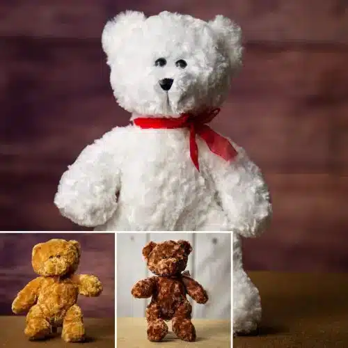 Chenille Bear