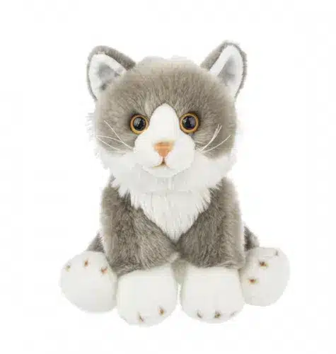 Grey Cat