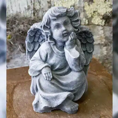 Reflecting Angel