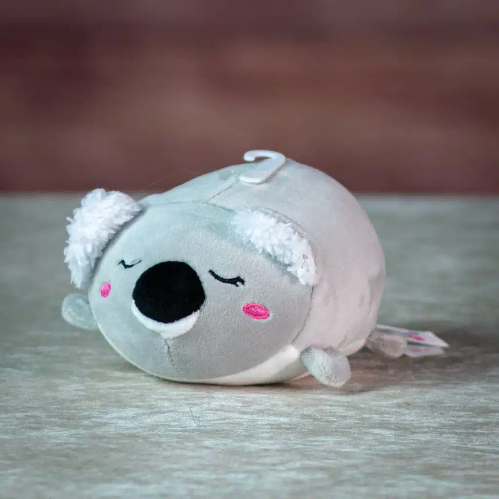 Smoochy Koala