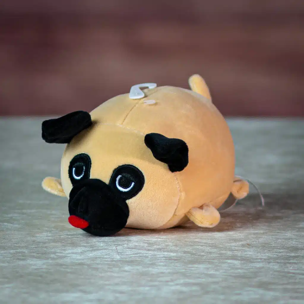 Smoochy Pug