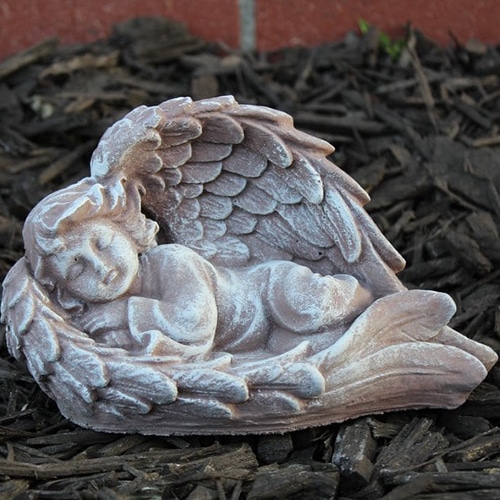 Baby in Wings