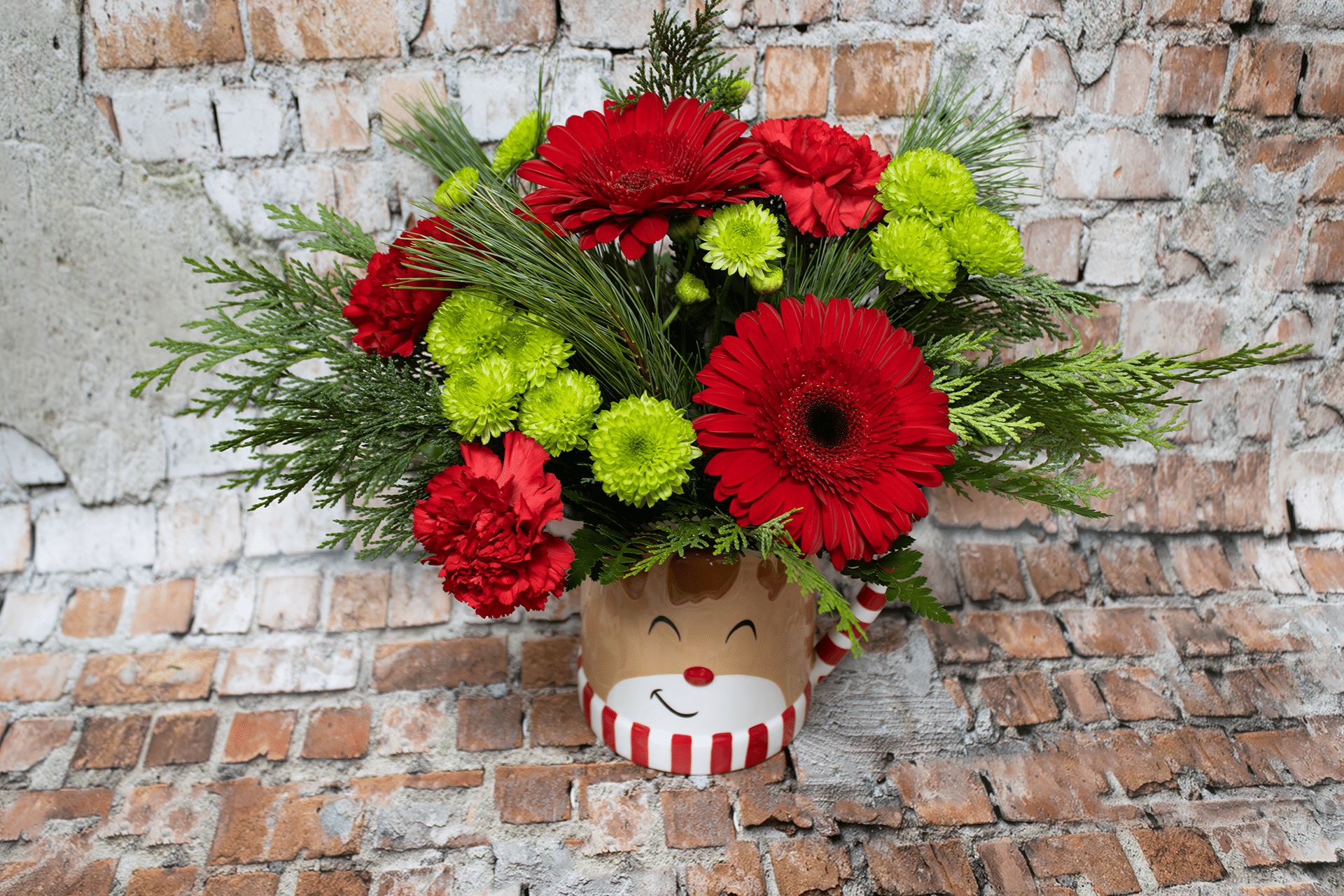 Reindeer’s Holiday Bloom