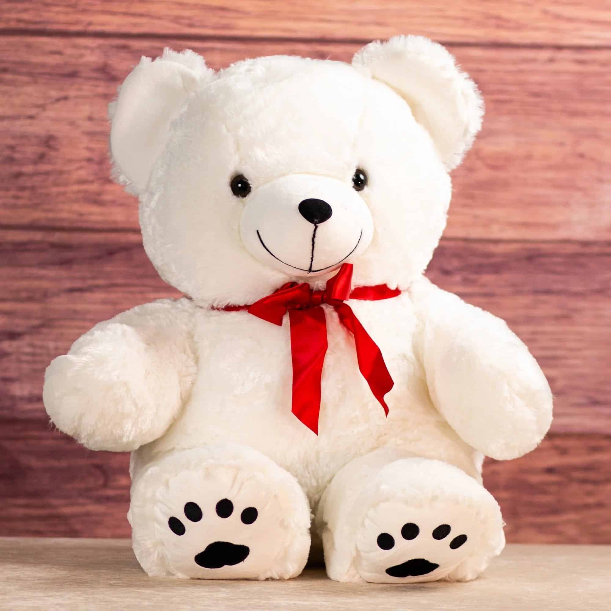 Large & Huggable Big Bear