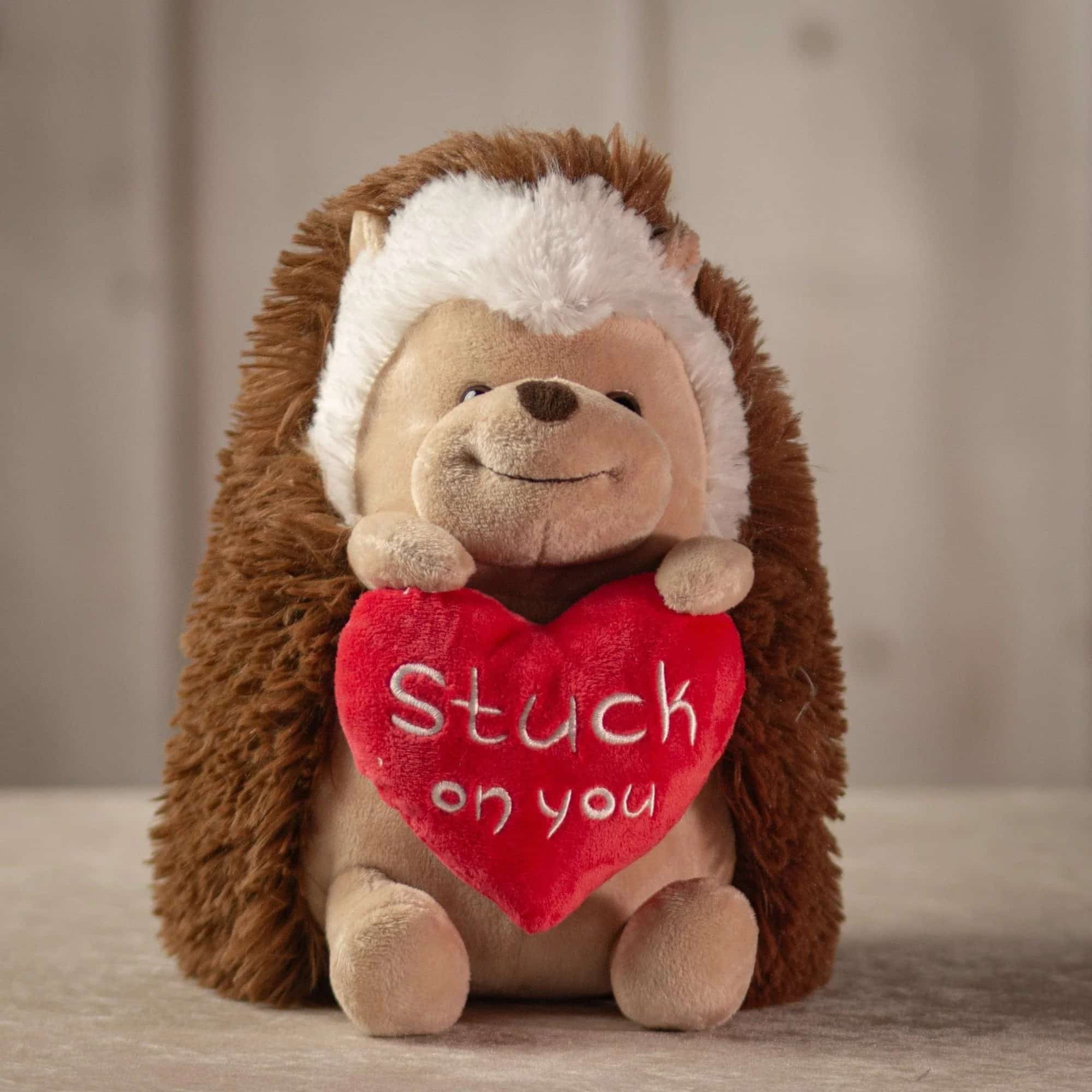 Stuck On You Hedgehug