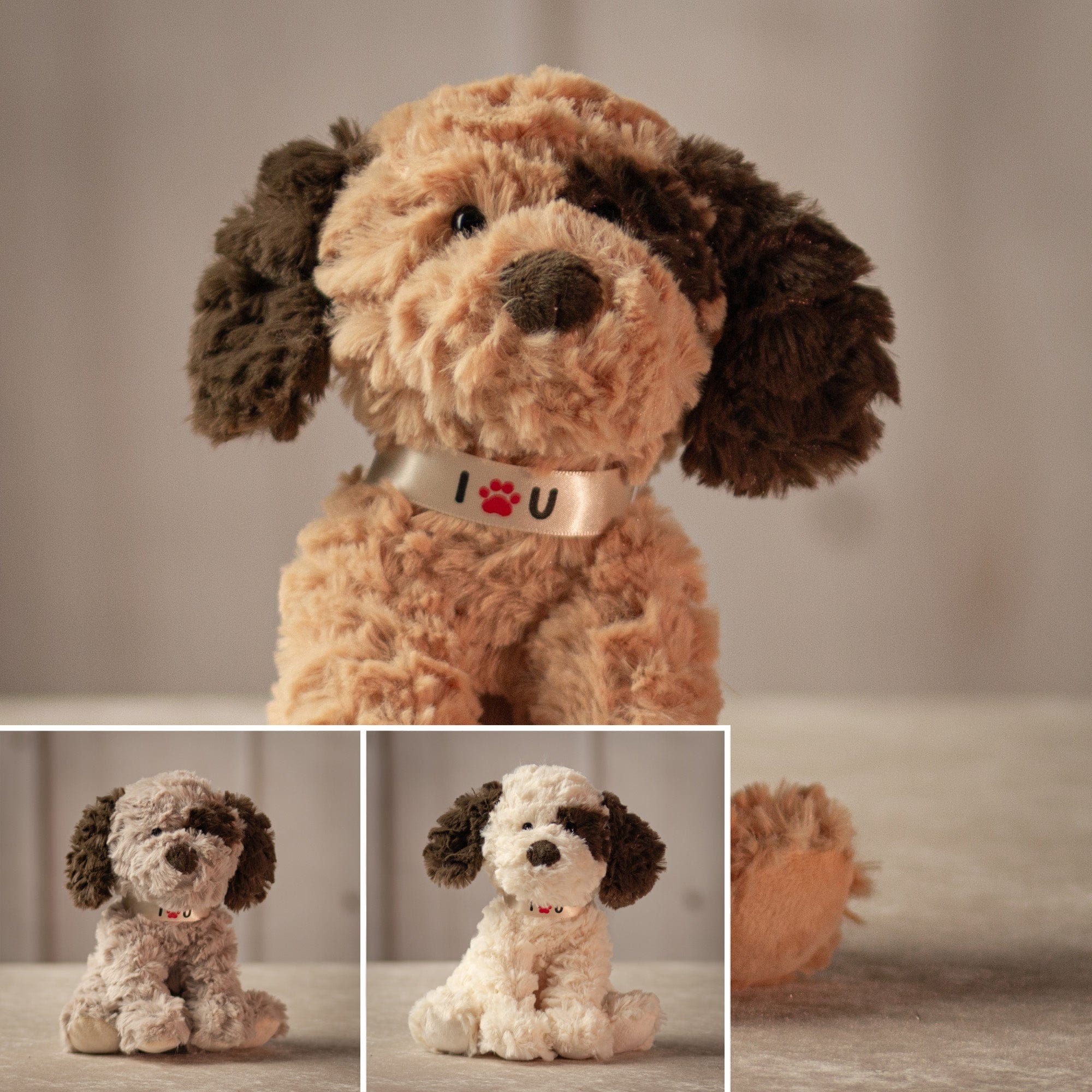 Valentine Pup