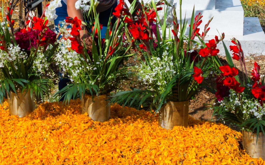 Celebrate Cinco de Mayo with Bold, Beautiful Mexican-Inspired Blooms