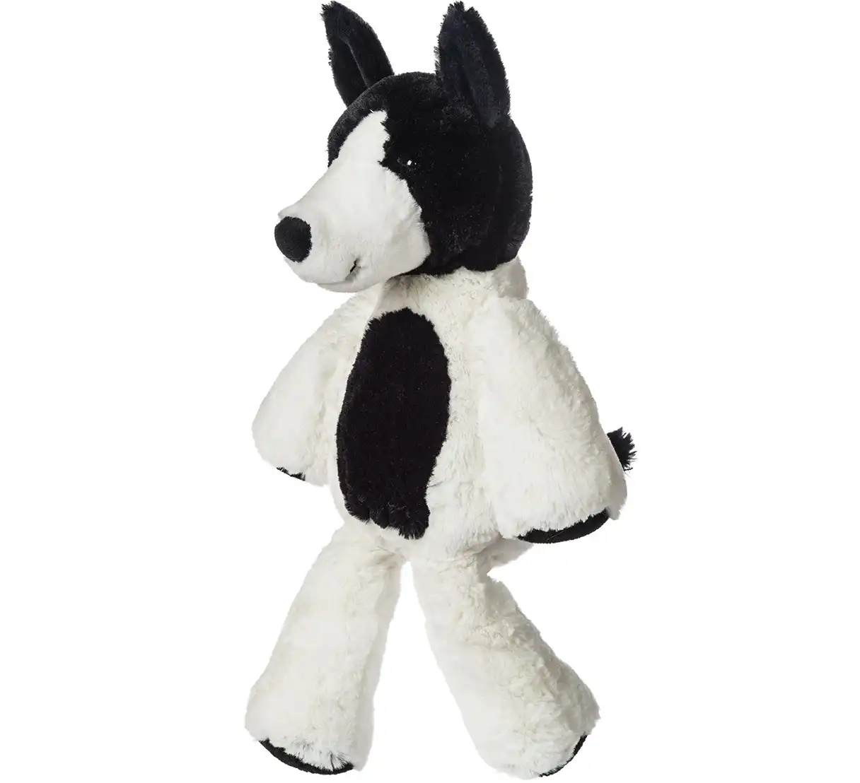 Marshmallow Trixie Terrier