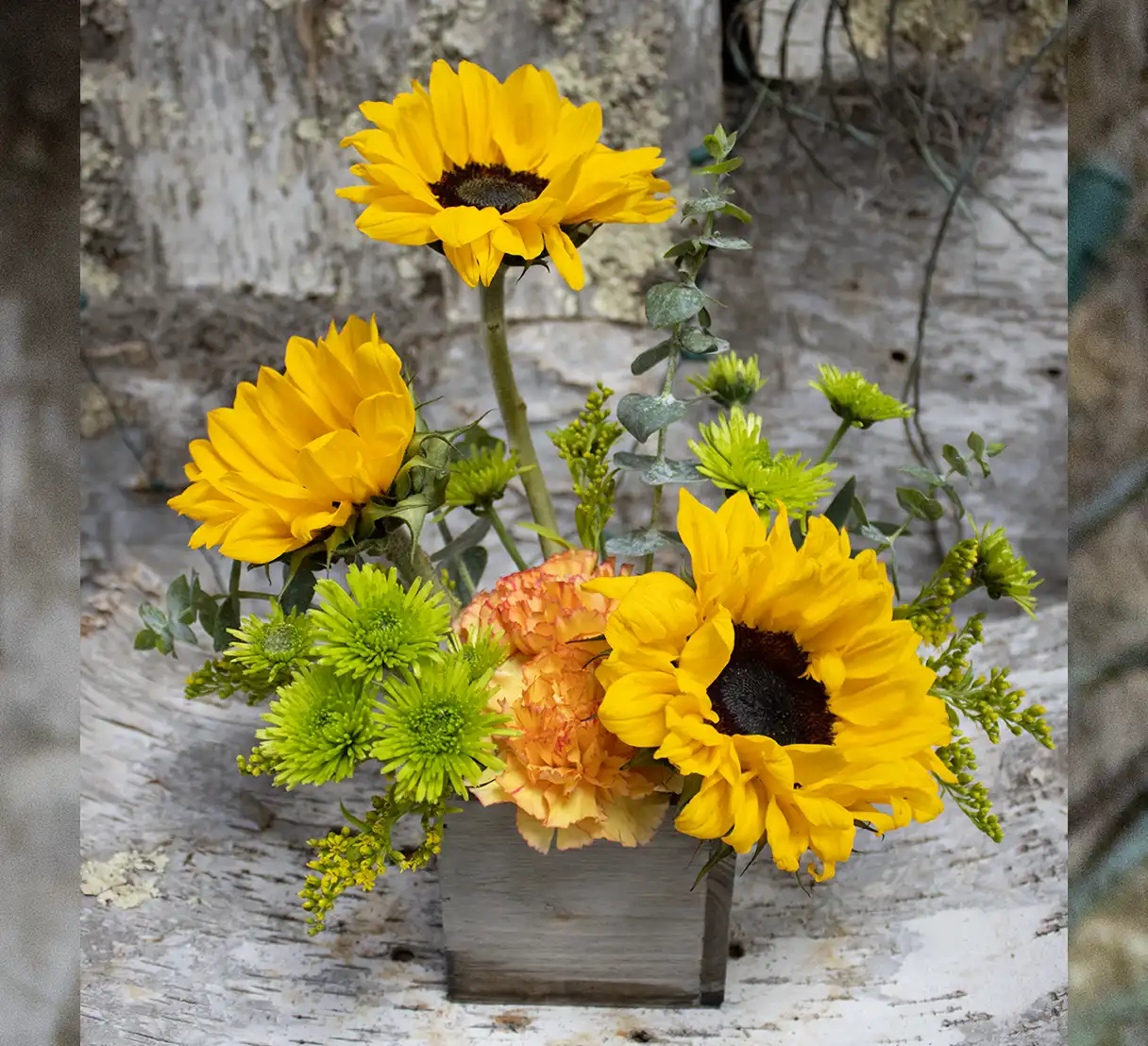 This delightful arrangement features radiant golden sunflowers as the focal point, surrounded by soft, textured carnations in warm hues. Vibrant green button mums add a playful touch of color and texture. Nestled among fresh greenery, the flowers are arranged in a rustic wooden box, exuding charm and natural elegance. Perfect for bringing a cheerful and cozy ambiance to any space or as a thoughtful gift for any occasion.