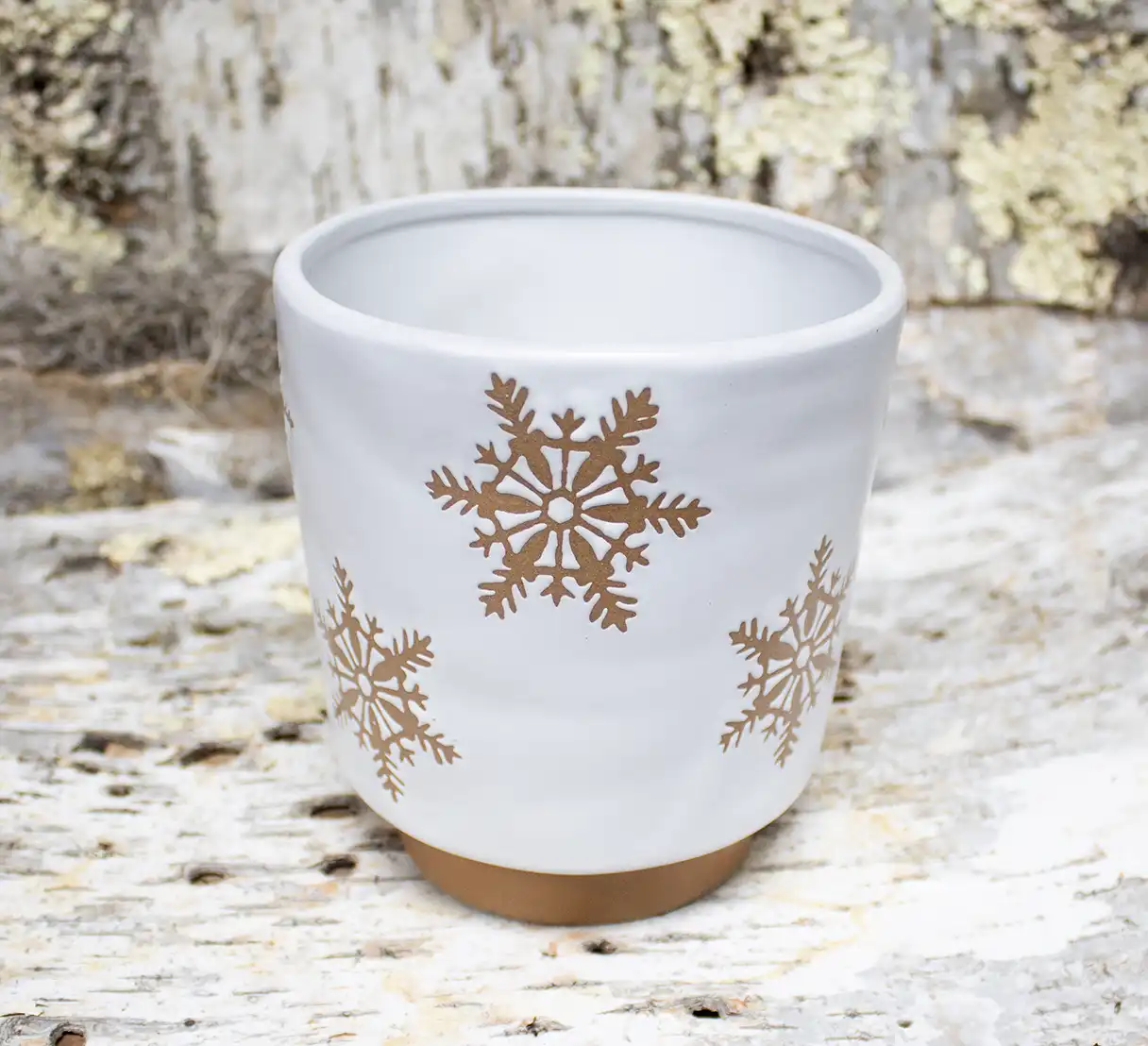 Snow and Evergreen Bouquet - Image 3